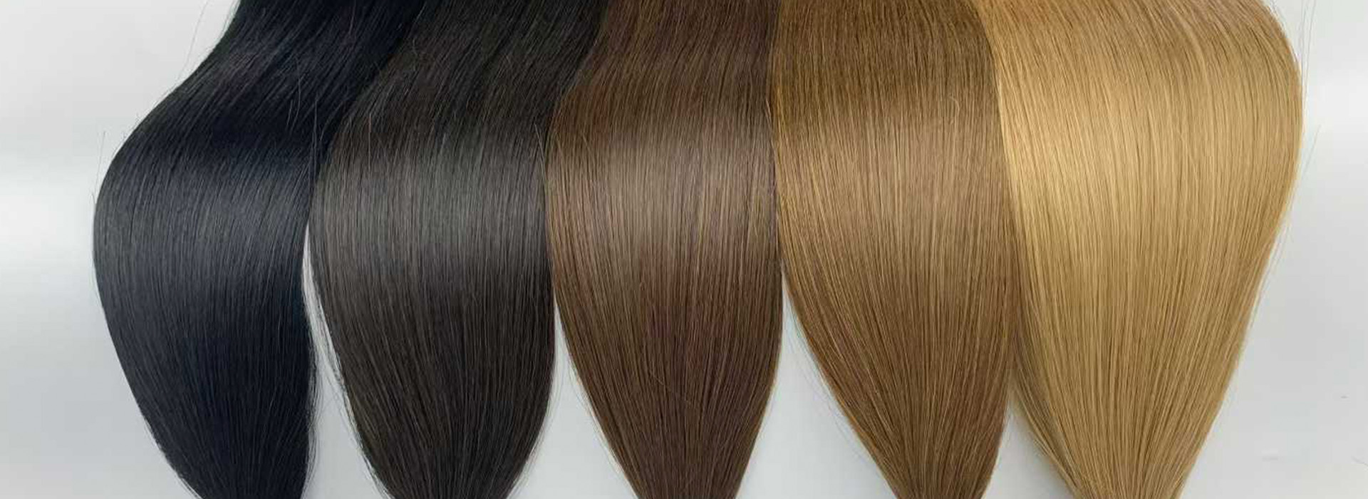 Luxury blonde and balayage human hair color development for wigs and hair toppers